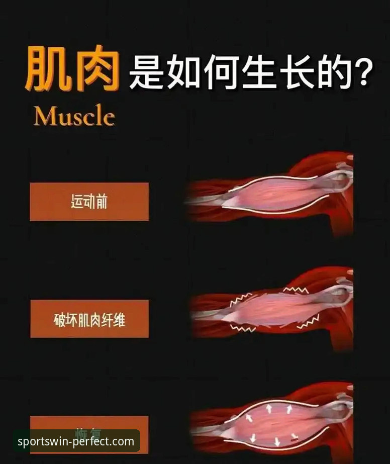 完美体育体育APPiOS版：5个新手必看的使用技巧与下载指南